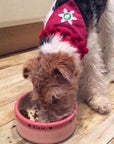 Medium Dog Bowls