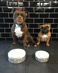 Medium Dog Bowls