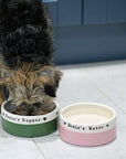 Medium Dog Bowls