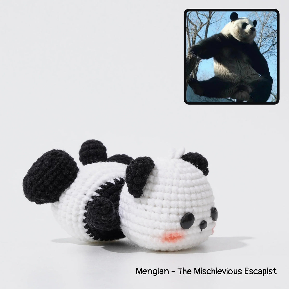 Giant Panda Family