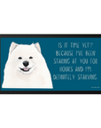 Starving & Staring: Samoyed-Approved Pet Bowl Mat