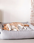 Grey Dog Bed for Everyday Lounging Luxury