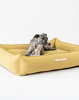 Honey Coloured Dog Bed