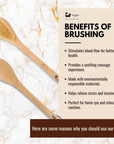 Natural Sisal or Bristle Body Brush for Dry Brushing and Showers