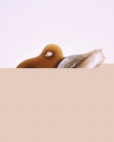 Revitalizing Hair Care Gift Set for Sensitive Scalps