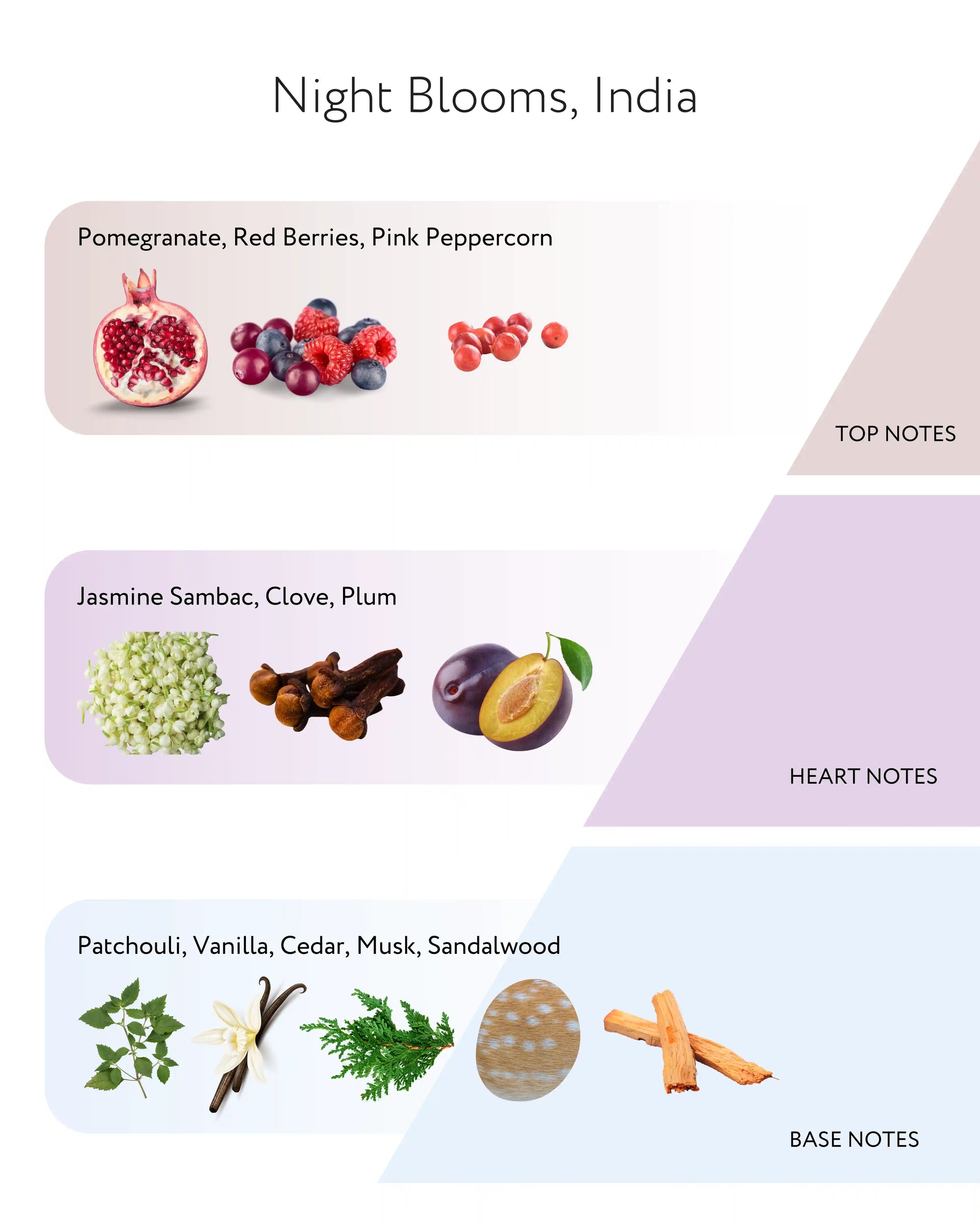 Night Blooms, India Diffuser, 200ml