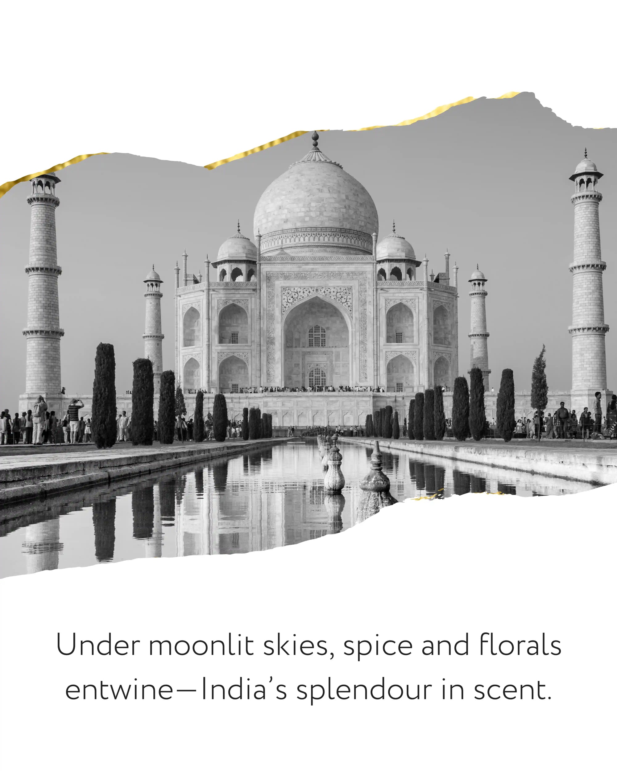 Night Blooms, India Diffuser, 200ml