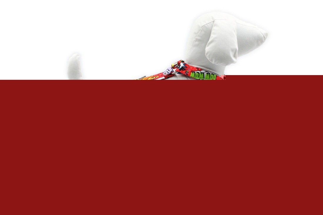 Red Graffiti Nylon Dog Harness