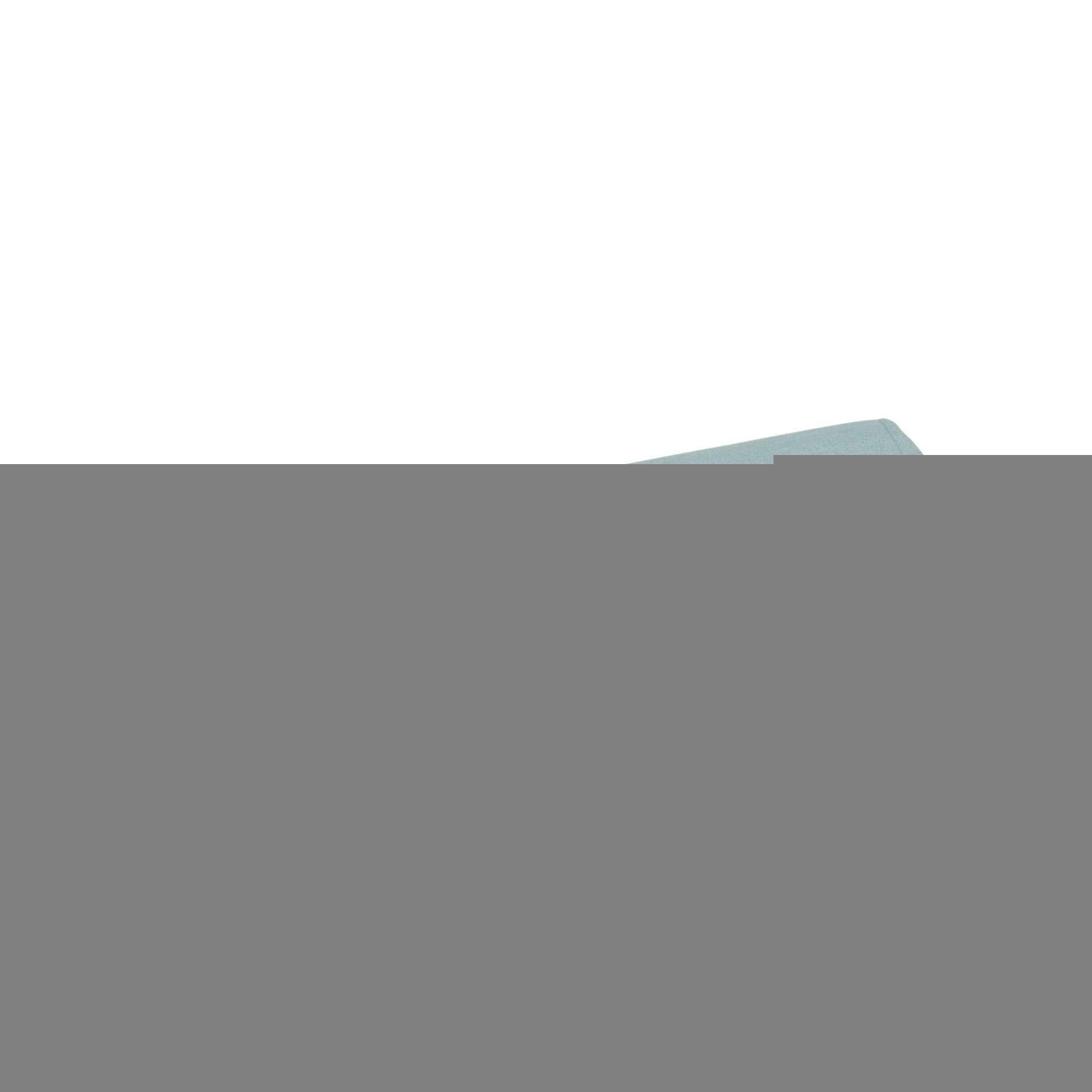 Soft Teal Travel Mat for Dogs