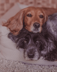 THE CHATSWORTH | LUXURY MEMORY FOAM BOLSTER DOG BED