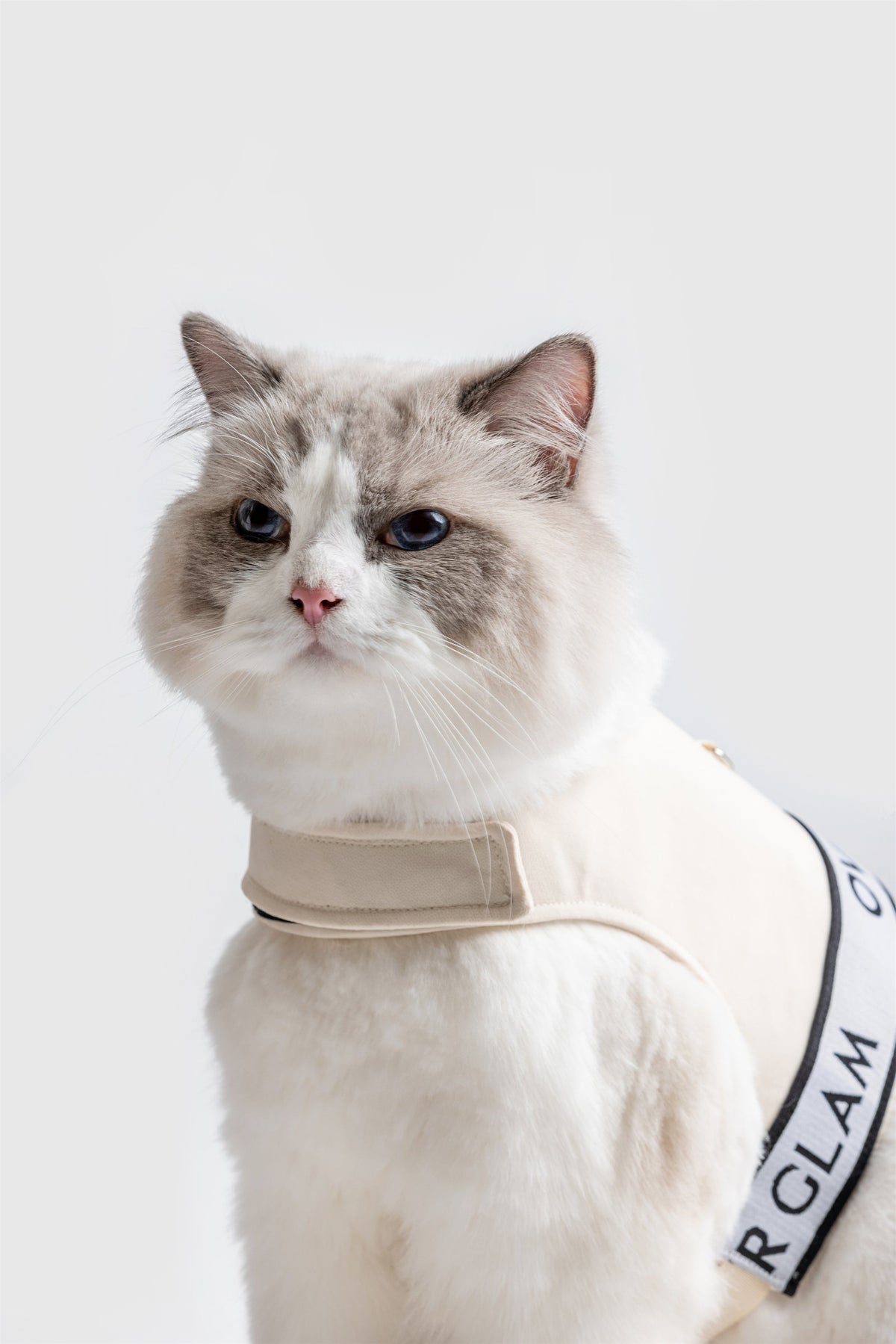 Ribbon Pastel Harness