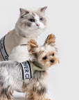 Ribbon Pastel Harness