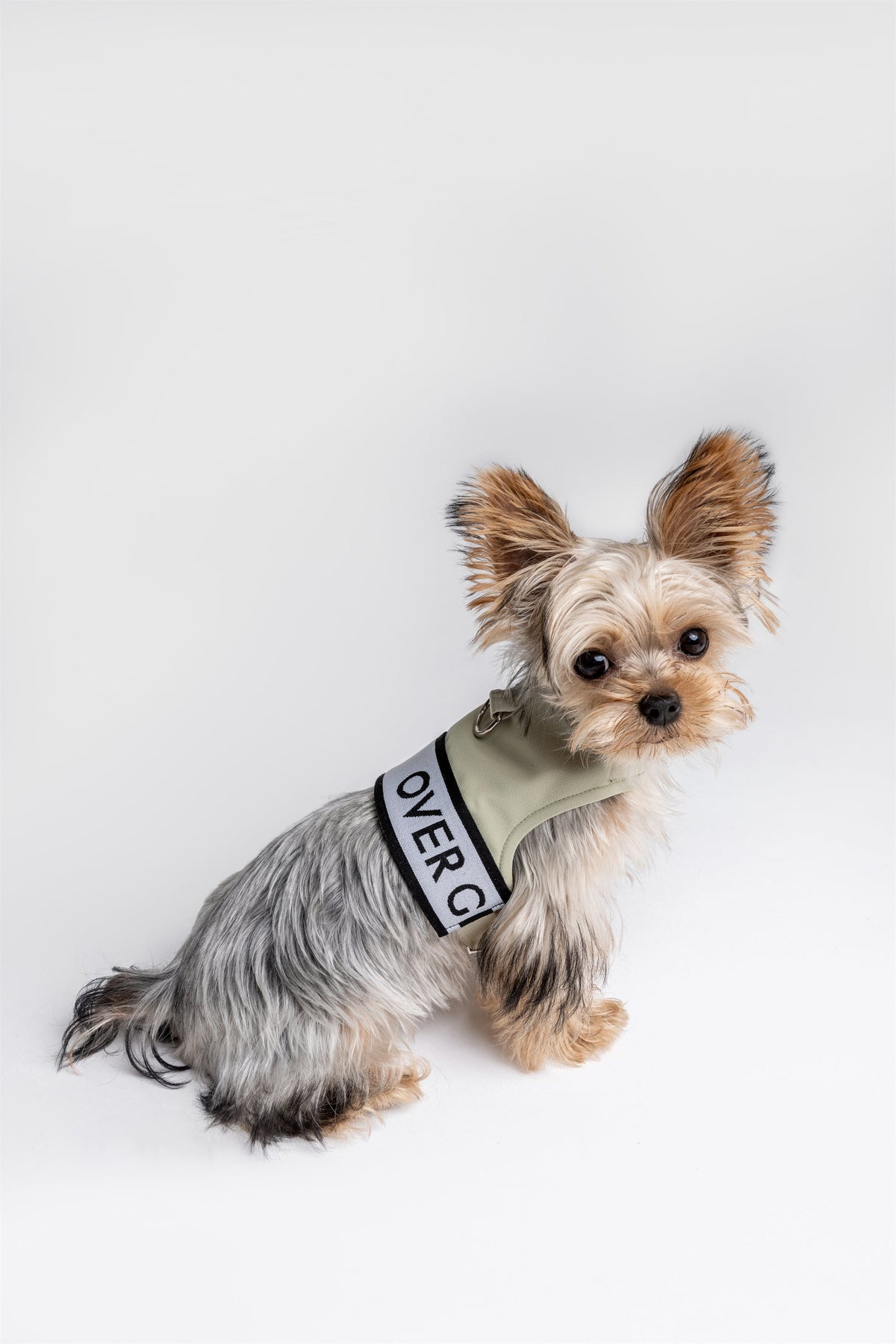 Ribbon Pastel Harness