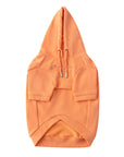 Pastel Hoodie