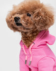 Pastel Hoodie