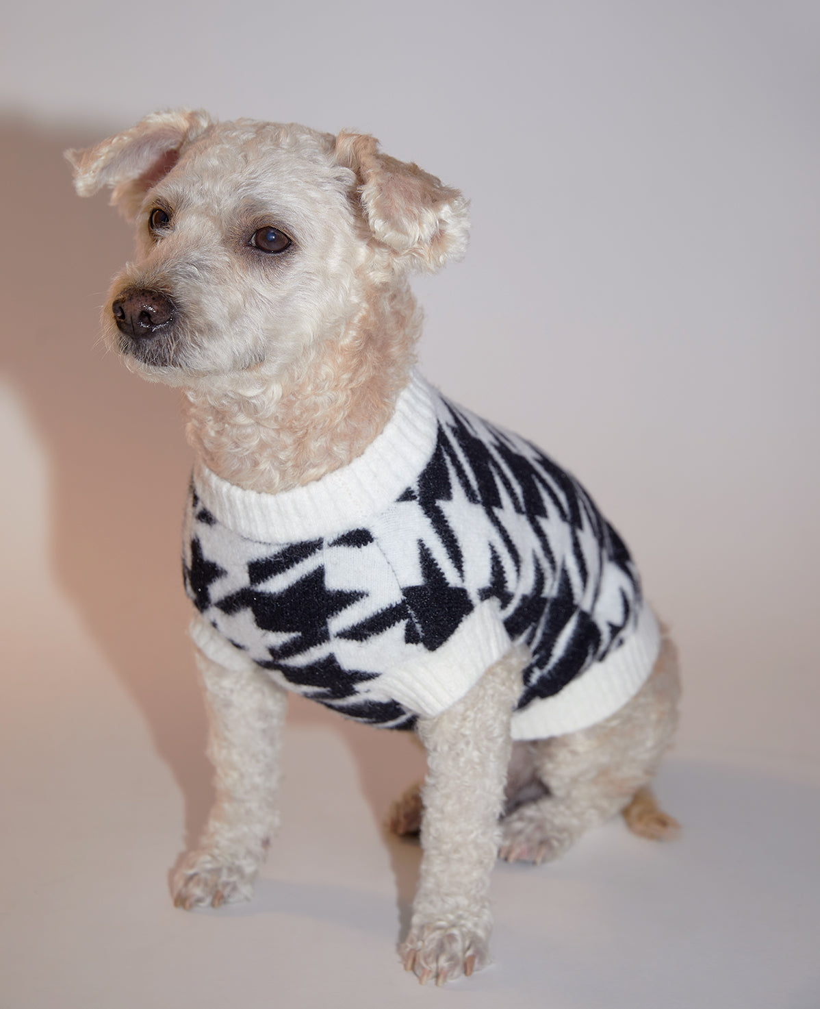 Houndstooth Jumper