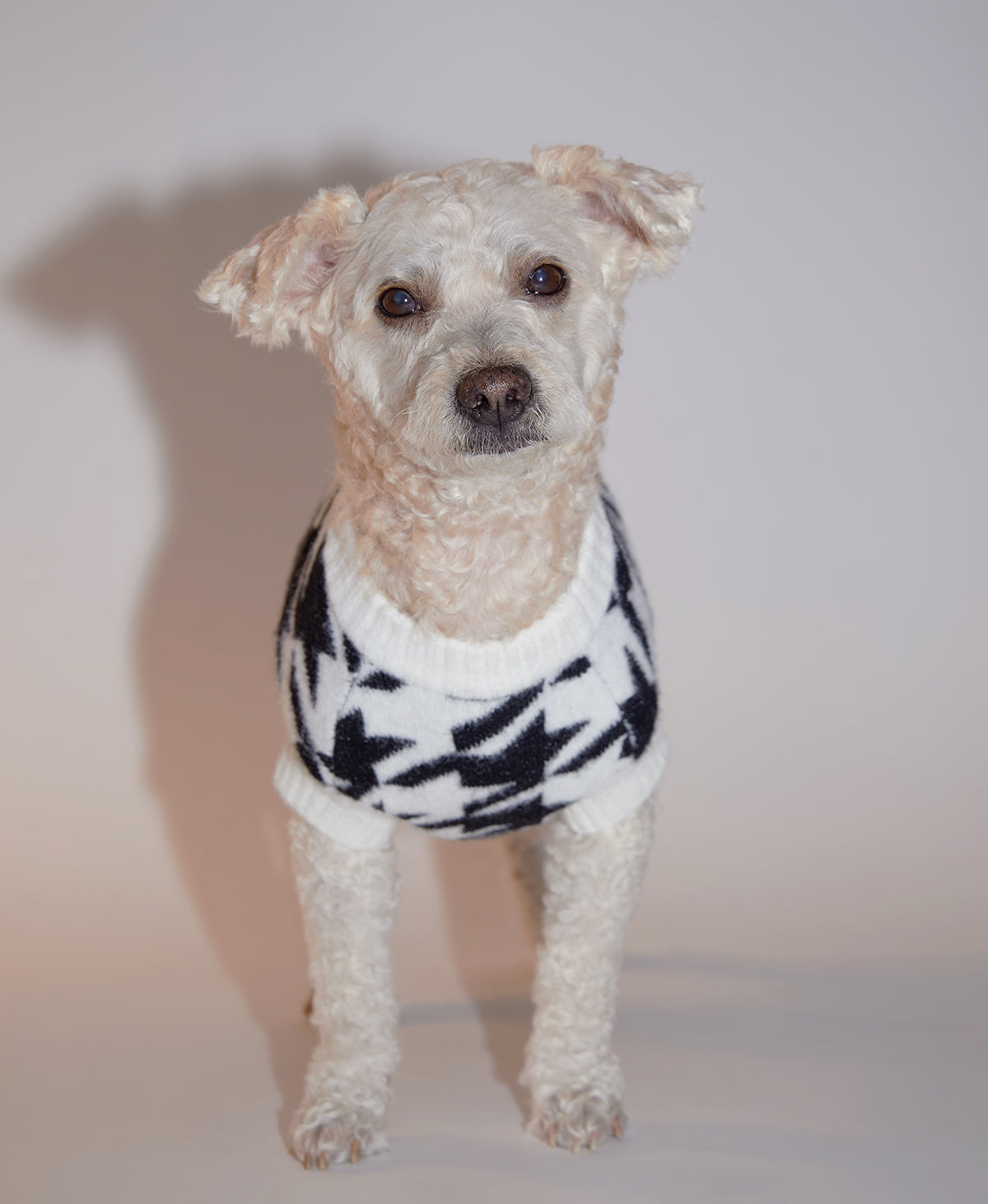 Houndstooth Jumper