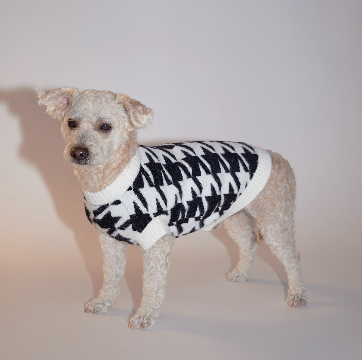 Houndstooth Jumper