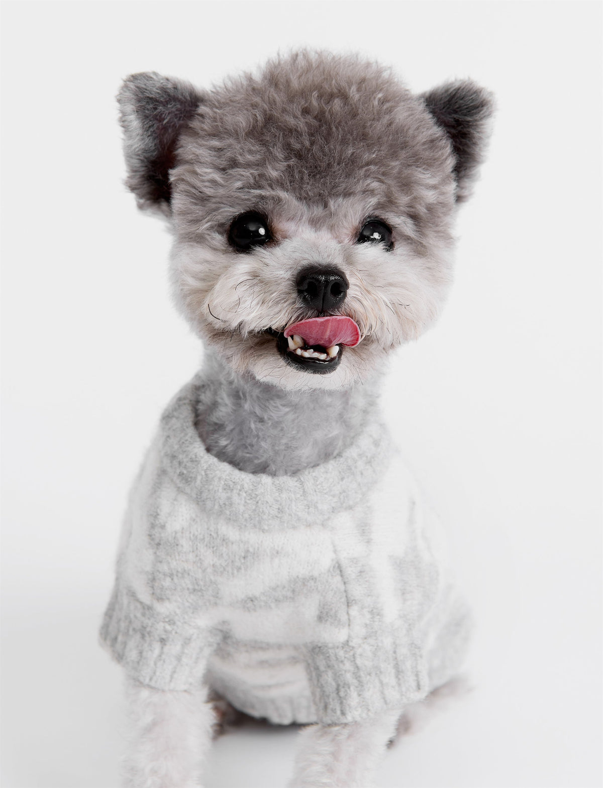 Houndstooth Jumper