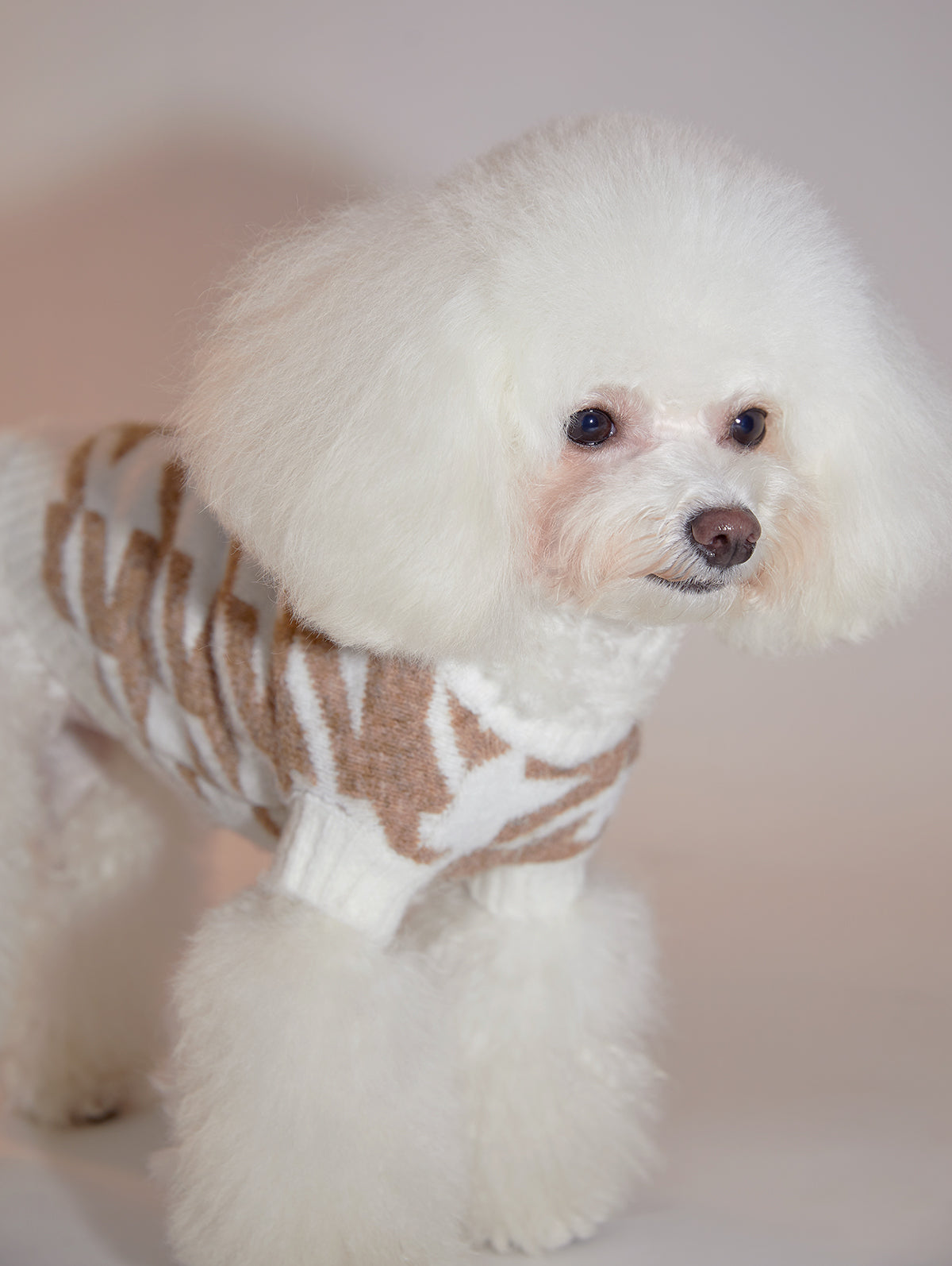 Houndstooth Jumper