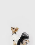 Jumper with Skirt