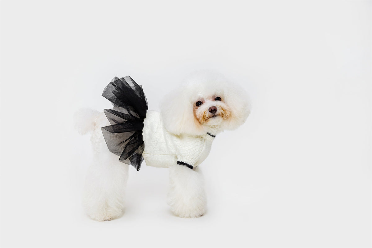 Jumper with Skirt