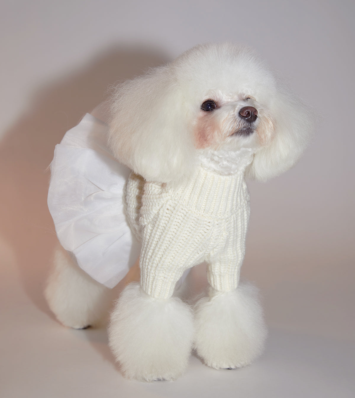 Knitwear with Skirt