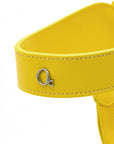 Leather Harness