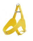 Leather Harness Set