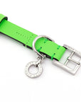Premium Leather Collar