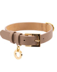 Premium Leather Collar