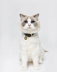 Premium Leather Collar