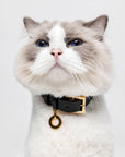 Premium Leather Collar