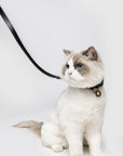 Premium Leather Collar