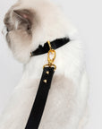 Premium Leather Collar
