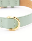 Premium Leather Collar