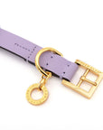Premium Leather Collar