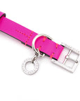 Premium Leather Collar