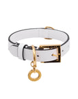 Premium Leather Collar