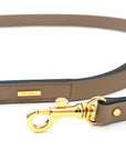 Premium Leather Lead