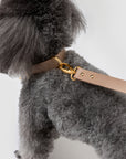Premium Leather Lead