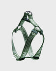 Overglam Ribbon Harness