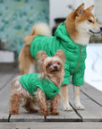 Sleeveless Button-up Jacket without Hood