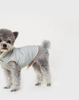 Sleeveless Puffer Jacket with Golden Logo