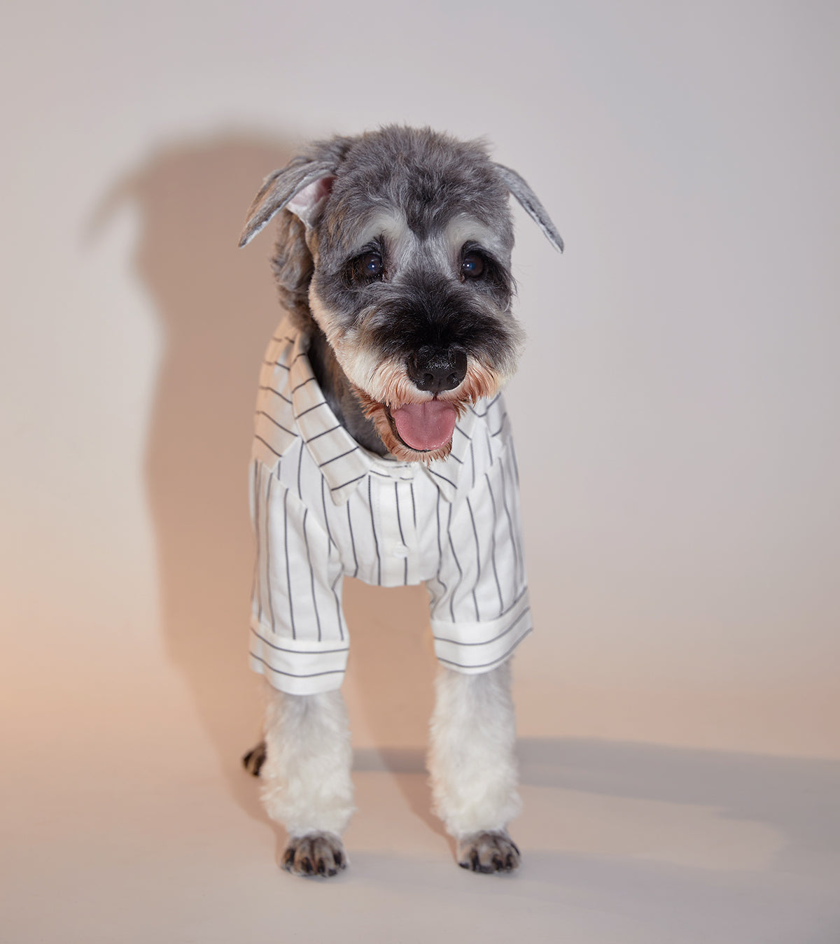 ‘DLMU' Striped Shirt