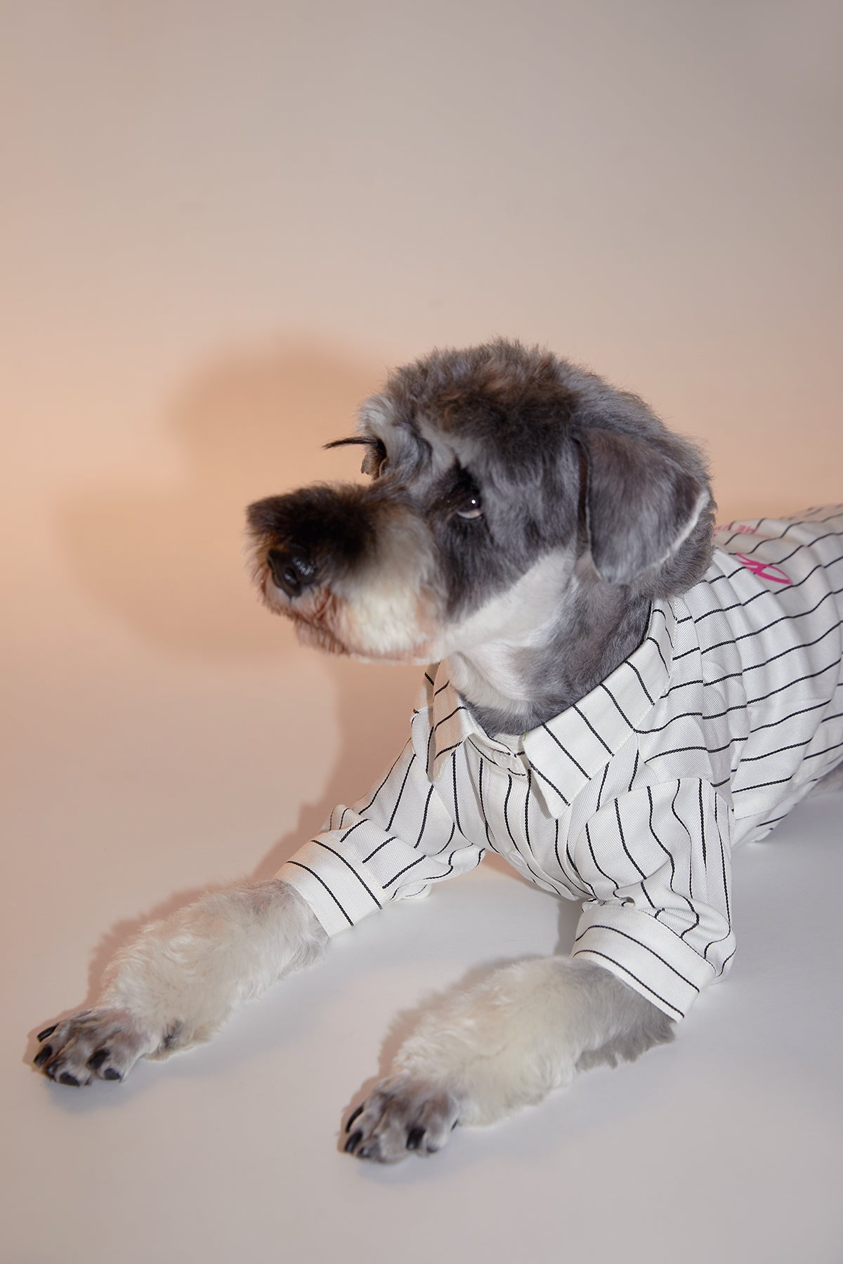 ‘DLMU' Striped Shirt
