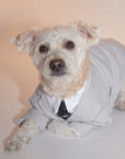 Suit Jacket