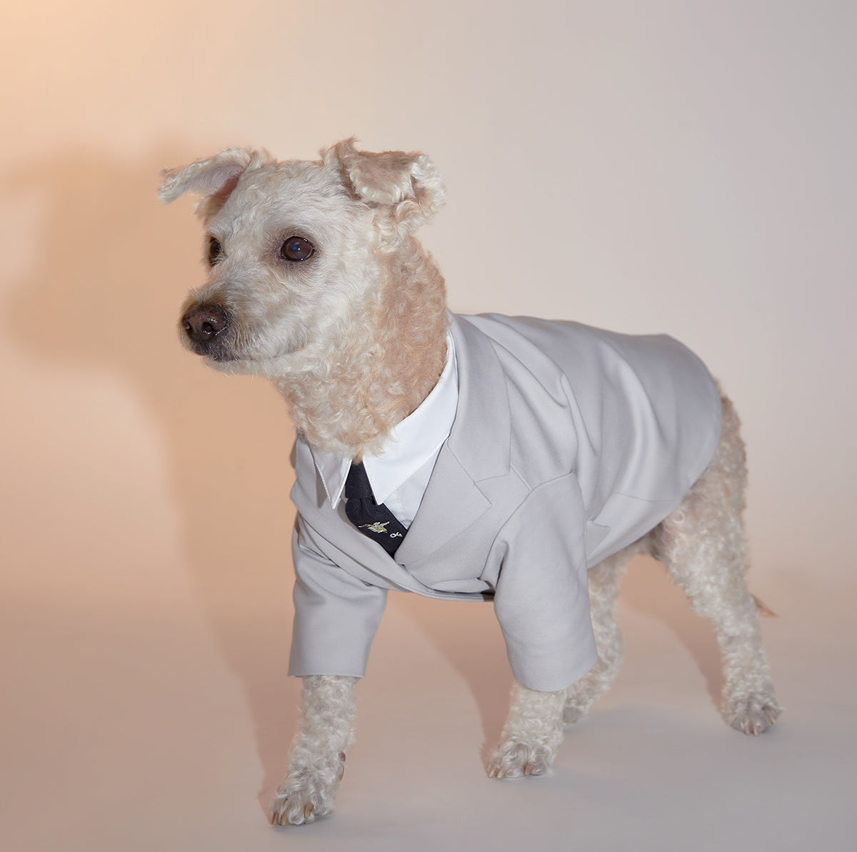 Suit Jacket