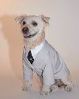 Suit Jacket