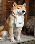 Woolen Scarf